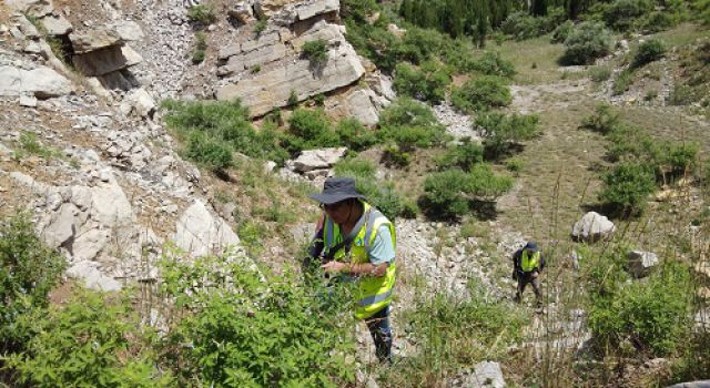 战酷暑 斗志昂 打好先锋攻坚战 战酷暑 斗志昂 打好先锋攻坚战