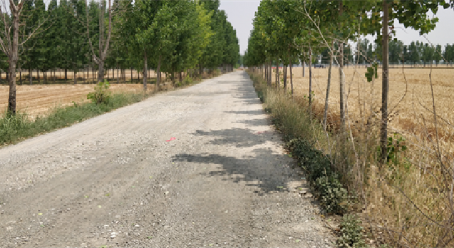 姚村至吴村道路路面改造工程圆满竣工