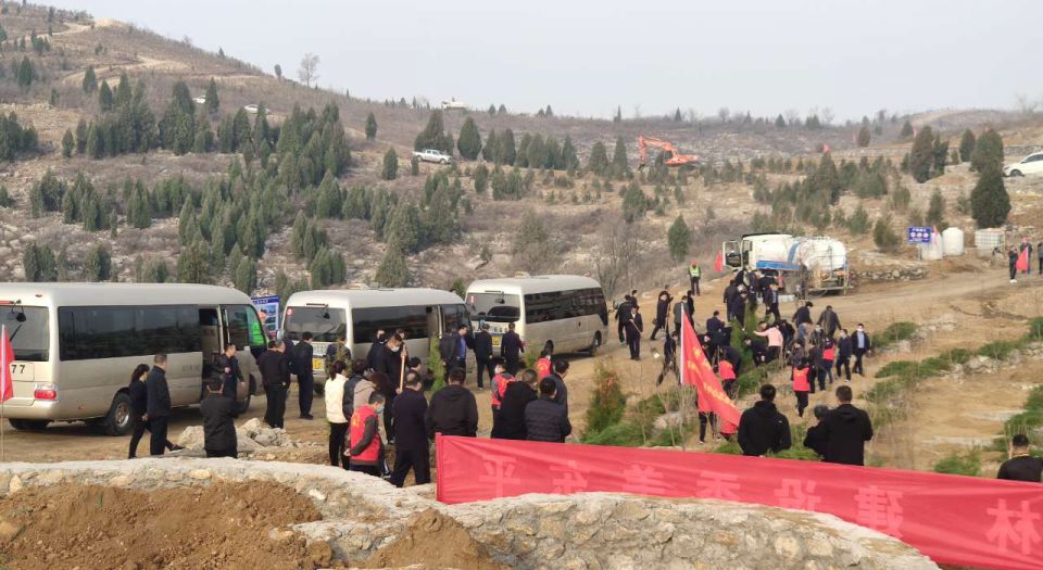 撒下一点绿色，播种一片绿意——植树节活动报道