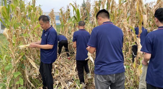 辛勤耕耘 必有收获 辛勤耕耘 必有收获