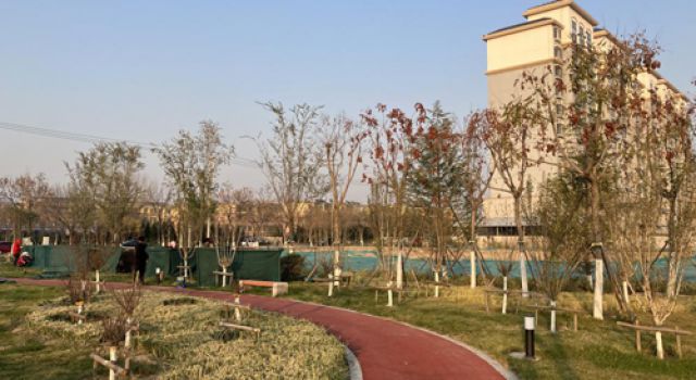 津五路局部道路设施改造项目交通调查启动，助力交通影响评价