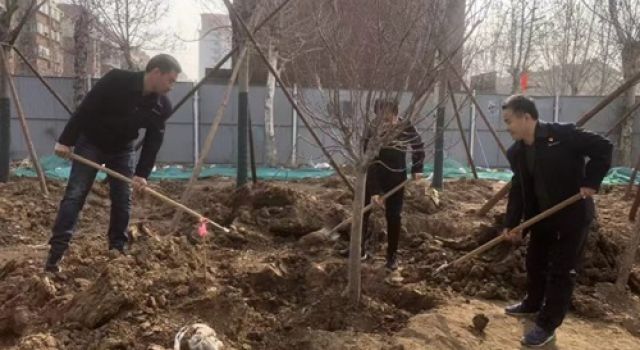 淄博快速路项目开展“践行绿色发展理念，构建美丽中国”迎植树节活动