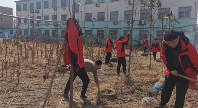 阳春三月,菜园翻新,济微一驻地办再添新绿 阳春三月,菜园翻新,济微一驻地办再添新绿