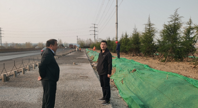 日照市南沿海公路高架项目绿化工程开始大干